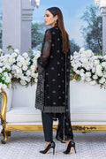 Aayra - Chiffon Embellished Unstitched Collection D-06