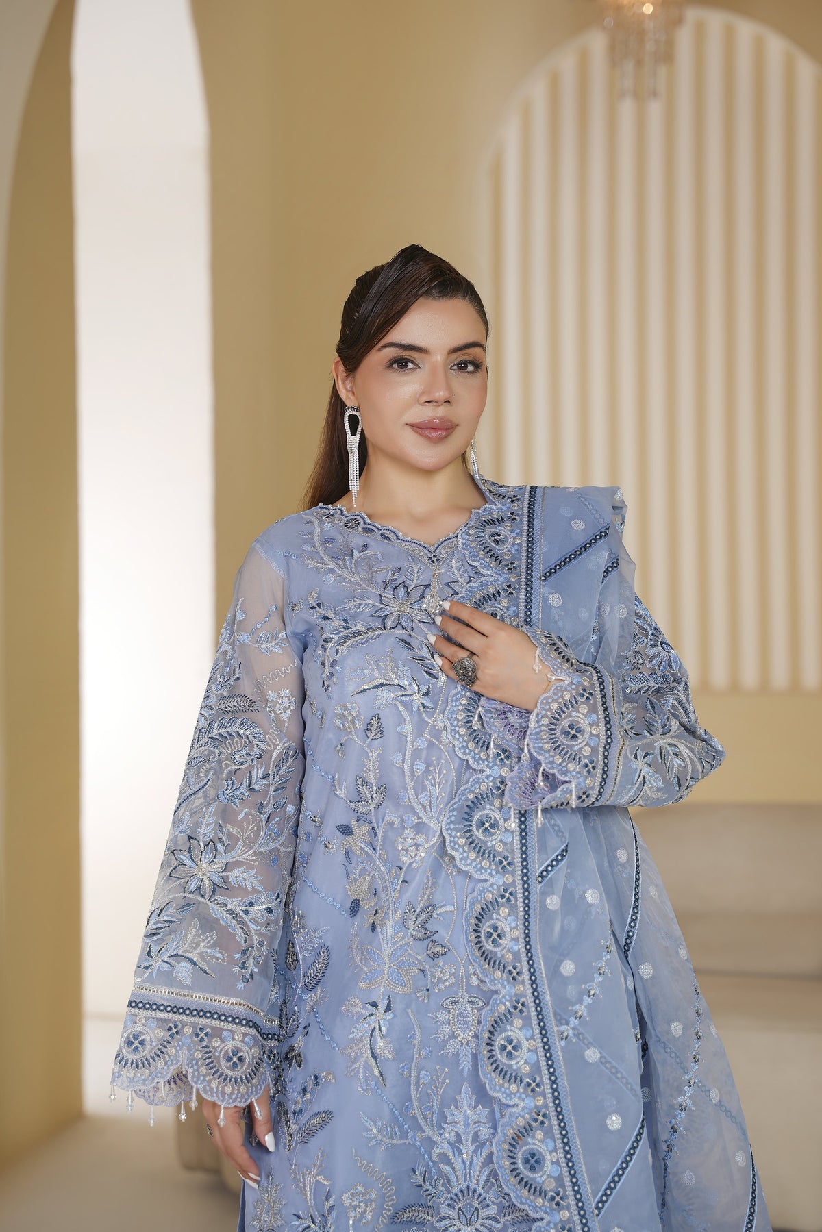 3 piece - Embroided Organza Suit